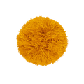 Pompon Mustard