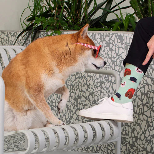 Chaussettes 41/46