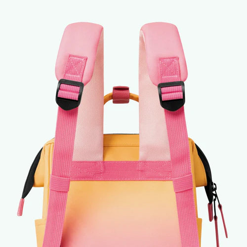 Sac à dos Adventurer Small Cologne