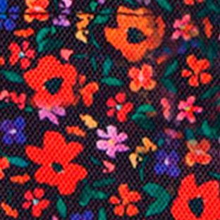 Pochette Nano Indiana State Museum