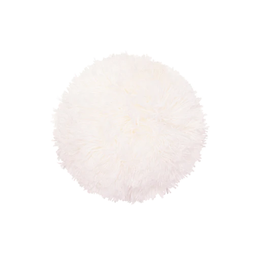 Pompon White
